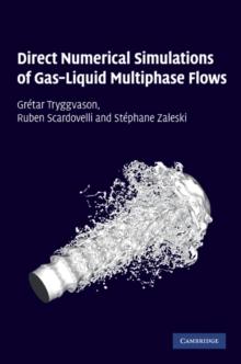 Direct Numerical Simulations of GasLiquid Multiphase Flows