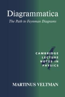 Diagrammatica : The Path to Feynman Diagrams