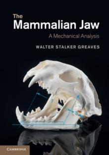 Mammalian Jaw : A Mechanical Analysis