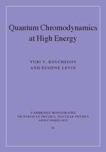 Quantum Chromodynamics at High Energy