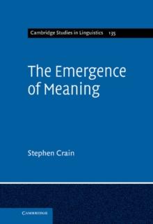 Emergence of Meaning