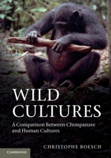 Wild Cultures : A Comparison between Chimpanzee and Human Cultures