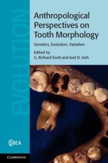 Anthropological Perspectives on Tooth Morphology : Genetics, Evolution, Variation