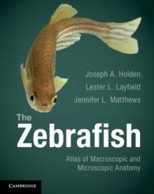 The Zebrafish : Atlas of Macroscopic and Microscopic Anatomy