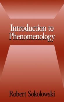 Introduction to Phenomenology