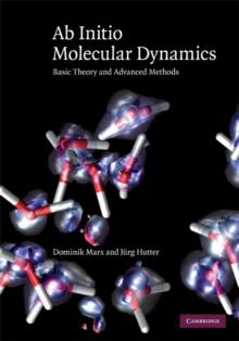 Ab Initio Molecular Dynamics : Basic Theory and Advanced Methods