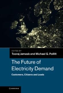 Future of Electricity Demand : Customers, Citizens and Loads