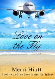 Love on the Fly (Book two of the Love in the Air Trilogy)