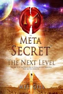 Meta Secret -  The Next Level