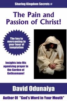 Pain and The Passion of Christ