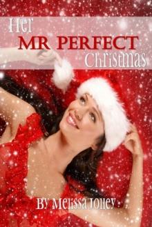 Her Mr Perfect Christmas