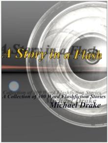 Story in a Flash - A Collection of 300 Word Flashfiction Stories