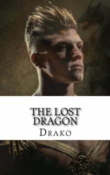 Lost Dragon (The Dragon Hunters #1)