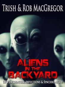 Aliens in the backyard: UFOs, Abductions, & Synchronicity