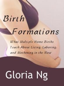 Birth Formations: What Multiple Home Births Teach about Living, Laboring and Mothering in the Now