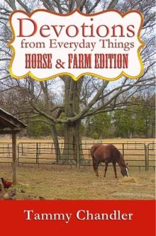 Devotions from Everyday Things: Horse & Farm Edition