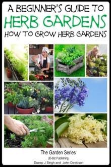 Beginner's Guide to Herb Gardening: How to Grow Herb Gardens