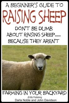 Beginner's Guide to Raising Sheep: Don't Be Dumb About Raising Sheep...Because They Aren't