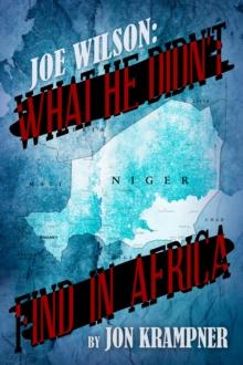 Joe Wilson: What He Didn't Find in Africa