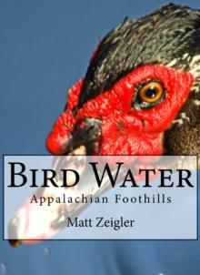 Bird Water: Appalachian Foothills