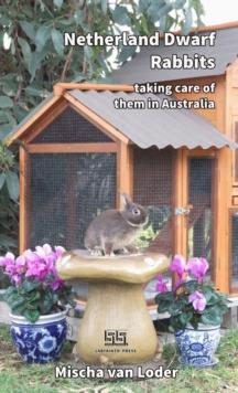 Netherland Dwarf Rabbits: Taking Care of Them in Australia