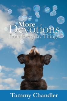 More Devotions from Everyday Things