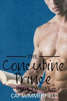 Concubine Prince: Book Twelve