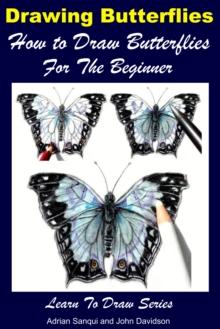 Drawing Butterflies: How to Draw Butterflies For the Beginner