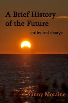 Brief History of the Future: collected essays