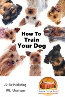 How To Train Your Dog