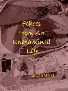 Echoes From An Unexamined Life