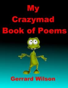 My Crazmad Book of Poems