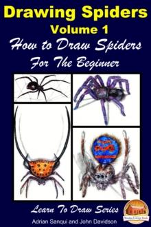 Drawing Spiders Volume 1: How to Draw Spiders For the Beginner