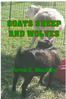 Goats Sheep And Wolves