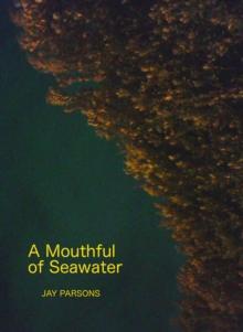 Mouthful of Seawater