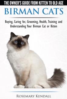 Birman Cats: The Owner's Guide from Kitten to Old Age - Buying, Caring For, Grooming, Health, Training, and Understanding Your Birman Cat or Kitten