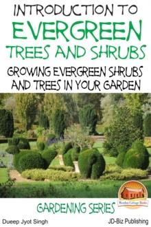 Introduction to Evergreen Trees and Shrubs: Growing Evergreen Shrubs and Trees in Your Garden