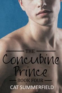 Concubine Prince: Book Four