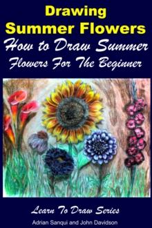 Drawing Summer Flowers: How to Draw Summer Flowers For the Beginner