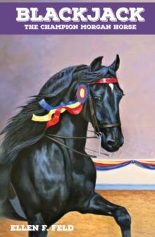 Blackjack: The Champion Morgan Horse : Morgan Horse, #7