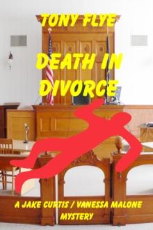 Death in Divorce, a Jake Curtis / Vanessa Malone Mystery