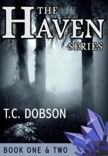 Haven, Book One, The Forest and Book Two, The Journey