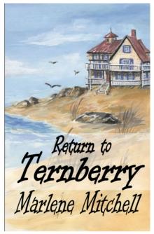 Return to Ternberry (Next Generation Book 2)