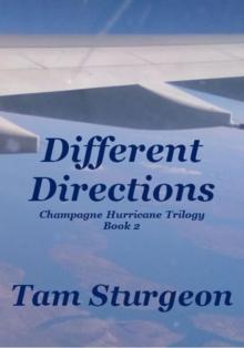 Different Directions - The Champagne Hurricane Trilogy - Book 2