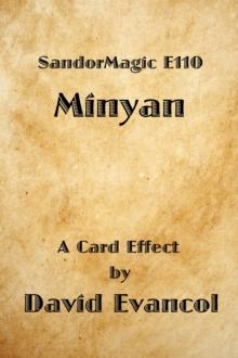 SandorMagic E110: Minyan