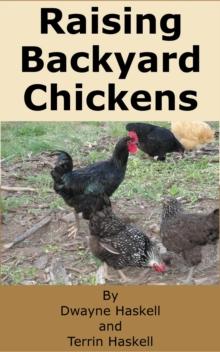 Raising Backyard Chickens