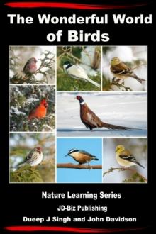 Wonderful World of Birds: How to Make Friends With Our Feathered Friends