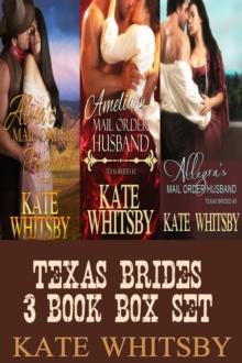 Texas Brides 3 Book Bundle Box Set