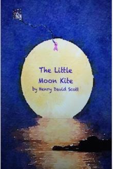 Little Moon Kite