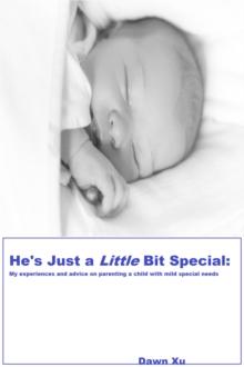 He's Just a Little Bit Special: My experiences and advice on parenting a child with mild special needs